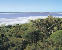 Pink Lake