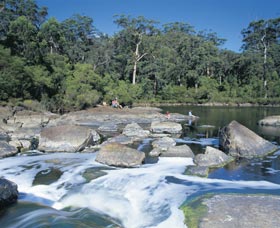 Frankland River - Attractions Brisbane 0