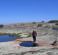 Dingo Rock - Attractions Brisbane