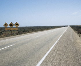 Eyre Highway - Attractions Brisbane 0