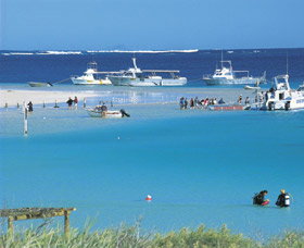 Bill's Bay - Attractions Brisbane 0