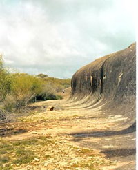 Totadgin Dam Reserve
