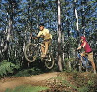 Leeuwin-Naturaliste National Park - Cowaramup - Attractions Brisbane
