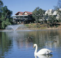 White Swans - Attractions Brisbane