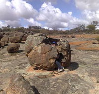Gathercole Nature Reserve - Attractions Brisbane