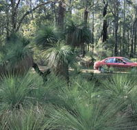 Bridgetown Jarrah Park - Attractions Brisbane