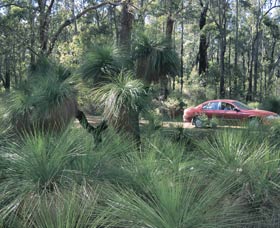 Bridgetown Jarrah Park - Attractions Brisbane 0