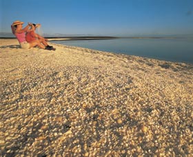 Shell Beach - Attractions Brisbane 0