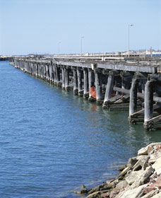 Old Timber Jetty - Attractions Brisbane 0