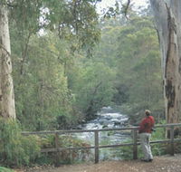 Cascades - Attractions Brisbane
