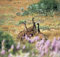 Jurabi Coastal Reserve - Attractions Brisbane