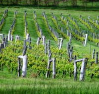 Sienna Estate Winery - Attractions Brisbane