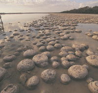 Yalgorup National Park - Attractions Brisbane