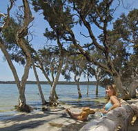 Stokes National Park - Attractions Brisbane