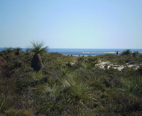 Lesueur National Park