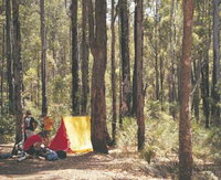 Lane Poole Reserve