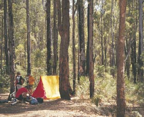 Lane Poole Reserve - Attractions Brisbane 0