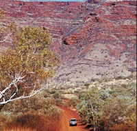 Mount Nameless - Attractions Brisbane