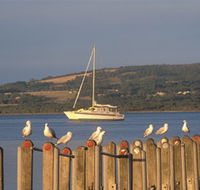 Oyster Harbour - Attractions Brisbane