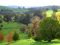 Book Balingup Accommodation Vacations Attractions Brisbane Attractions Brisbane