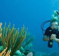 Coastal Water Dive - Attractions Brisbane