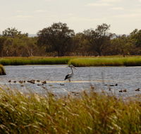 Anytime Adventures in Mandurah  the Peel Region - Attractions Brisbane