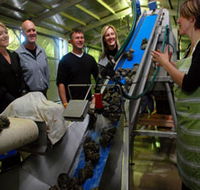 Eyre Peninsula's Seafood Trail - Attractions Brisbane