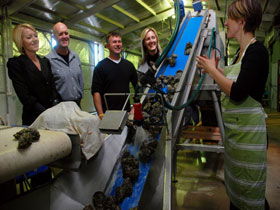Eyre Peninsula's Seafood Trail - Attractions Brisbane 0