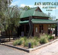 Rain Moth Gallery - Attractions Brisbane