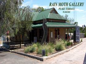 Rain Moth Gallery - Attractions Brisbane 0