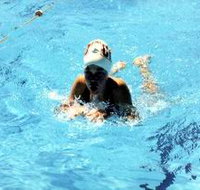 Mount Gambier Aquatic Centre - Attractions Brisbane