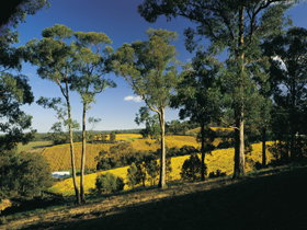 Lobethal SA Attractions Brisbane