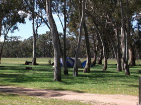 Naracoorte SA Attractions Brisbane