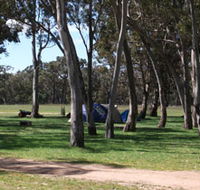 Black Cockatoo Bush Camp - Attractions Brisbane