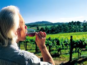 Ashton Hills Vineyard - Attractions Brisbane 0