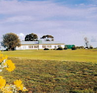 Lucindale Country Club - Attractions Brisbane