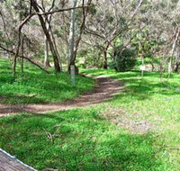 Yurrebilla Trail - Attractions Brisbane