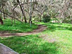 Yurrebilla Trail - Attractions Brisbane 0