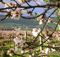 Cradle of Hills McLaren Vale Winery - Attractions Brisbane