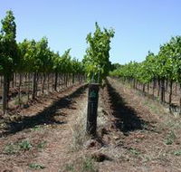 Temple Bruer Winery - Attractions Brisbane
