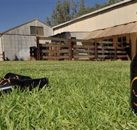 Wilkadene Woolshed Brewery - Attractions Brisbane