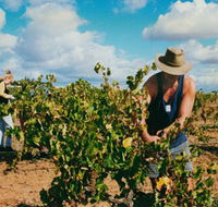 Torbreck Vintners - Attractions Brisbane