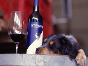 Koonara Wines - Attractions Brisbane 0