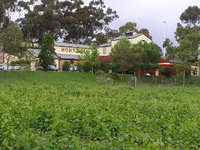 Horndale Distillery and Wine Cellars