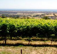 Braydun Hill Vineyard - Attractions Brisbane