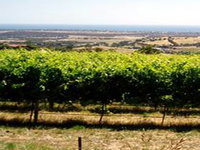 Book Hackham Accommodation Vacations Attractions Brisbane Attractions Brisbane