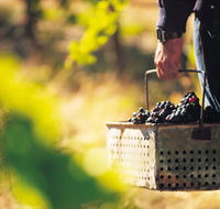 Spinifex Art and Crafts - Attractions Brisbane