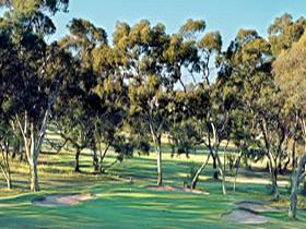 Tanunda Pines Golf Club - Attractions Brisbane 0