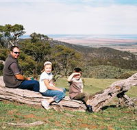 Bridle Track - Attractions Brisbane