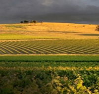 Kellermeister Wines - Attractions Brisbane